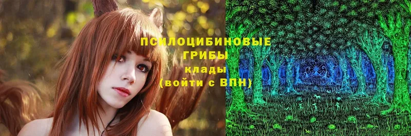 Галлюциногенные грибы Psilocybe  наркотики  Вятские Поляны 